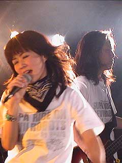 �摜�B
